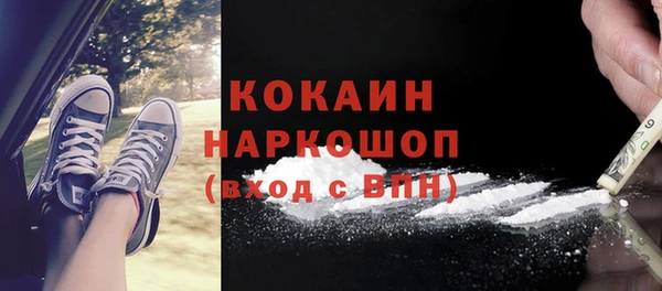 трава Инта