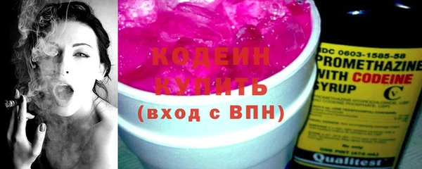 сатива Инсар