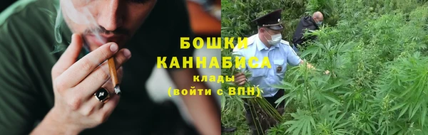 трава Инта