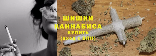 трава Инта
