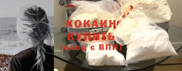 сатива Инсар