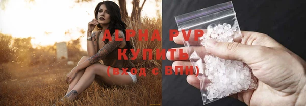 сатива Инсар