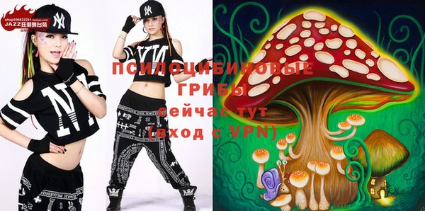 сатива Инсар