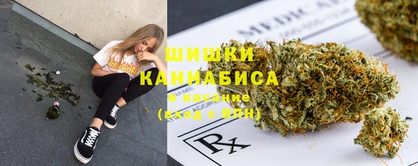 трава Инта