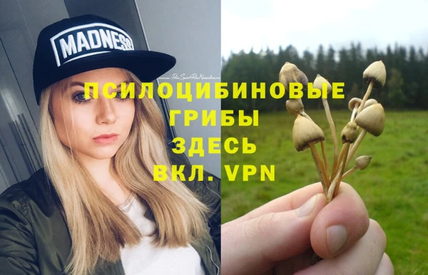 трава Инта