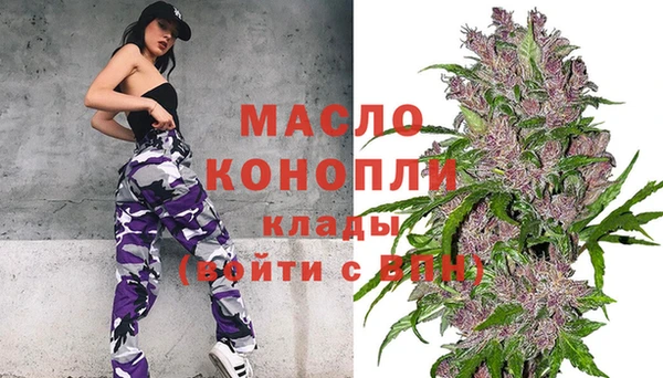 сатива Инсар