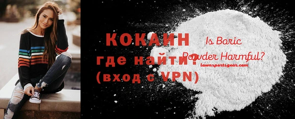 трава Инта