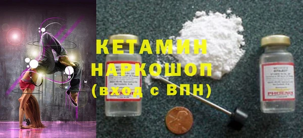 сатива Инсар